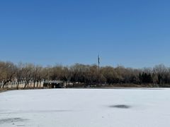 -WhaleSports户外水上运动俱乐部(朝阳公园店)