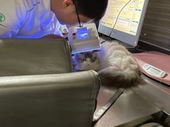 -瑞派名望志远动物医院·猫科·內科·异宠专科(直港大道店)