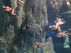-福州罗源湾海洋世界旅游区