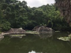 -厦门悦华酒店