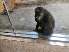 -石家庄市动物园