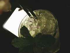 莫吉托-Malena玛莲娜
