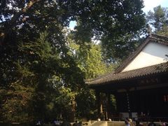 -龙井壹号·茶缘山景宴(龙井村店)