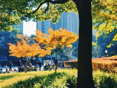 -中山公园