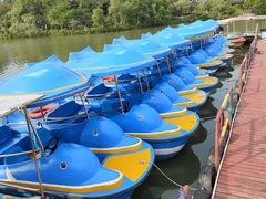 -八大山人梅湖景区