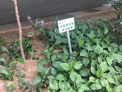 自然馆-西安世博园