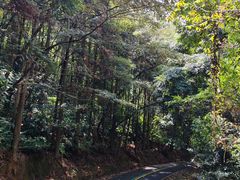 -福清灵石山国家森林公园