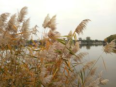 -盛世南宫影视城(北普陀影视城)