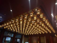 -新加坡佛牙寺龙华院