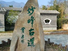 -阳台山自然风景区