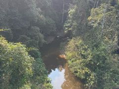 -野象谷景区