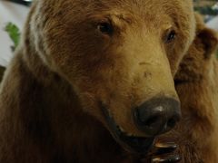 -中国天府农业博览园