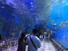 -华夏文旅西安度假区