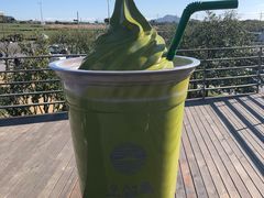 -雪绿茶博物馆