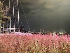 -西昌邛海湿地