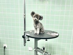 -哈尼爱宠·宠物生活会馆