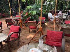 -Fern Forest Cafe