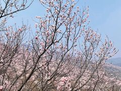 -北京凤凰岭