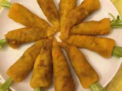 -丁老爷子苏香圆