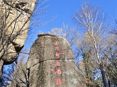 -汤旺河林海奇石景区