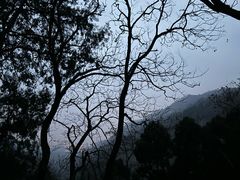 -泰山风景名胜区