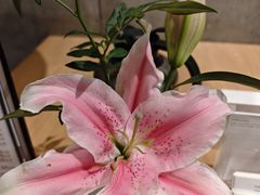 -四季餐厅·新津菜(环湖中路店)