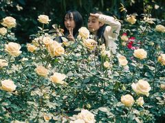 -人民公园(罗湖区)