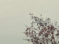-石燕湖生态旅游景区
