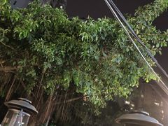 -木屋烧烤(白石洲店)