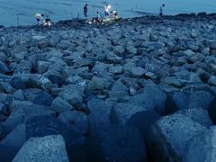 -奉贤海滩