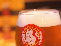 -Boxing Cat Brewery拳击猫精酿啤酒馆(永福店)