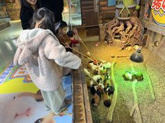 -萌宠奇缘(荣鼎店)