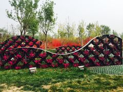 -武清南湖绿博园