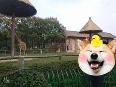 -南昌动物园