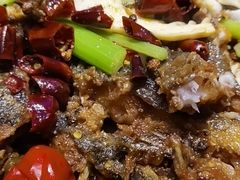 -老板恋上鱼(恒隆广场店)