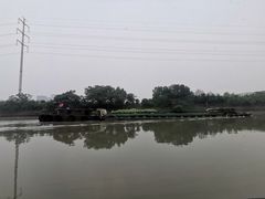 -运河游船(武林门码头)