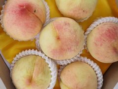 -南汇水蜜桃采摘(大团店)