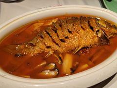 红烧黄河大鲤鱼-阿五黄河大鲤鱼(英协路店)