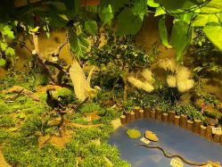 -酷嗒动物文化乐园(cutezoo西溪乐天城店)