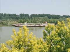 -东郊湿地公园
