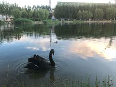 -吉林大学(前卫南区)