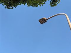 -苏州太湖西山岛开心农场