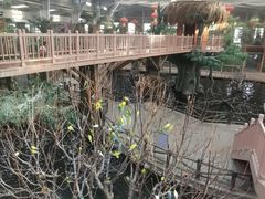 -南宫五洲植物乐园