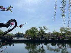 -无锡蠡湖国家湿地公园-蠡园