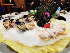 -宛平九号