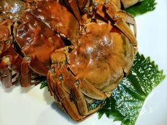-箸福·夜上海(月牙湖公园店)
