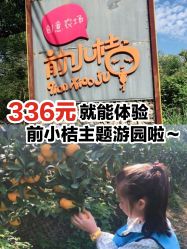 -前小桔亲子创意农场·草莓采摘·露营烧烤