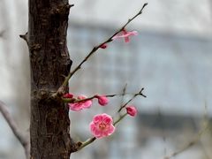 -北京明城墙遗址公园