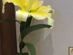 -聆桂烤鸭·金奖烤鸭(静联广场店)
