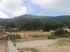-大姆山草场